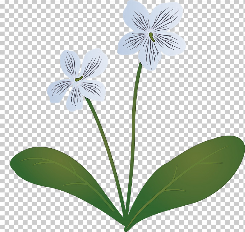 Violet Flower PNG, Clipart, Common Dandelion, Flora, Flower, Herbaceous Plant, Isla Linda Free PNG Download