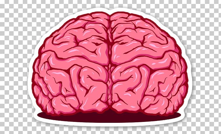 Sticker Brain TESK2 EOS.IO PNG, Clipart, Brain, Eosio, Human Body, Organ, People Free PNG Download