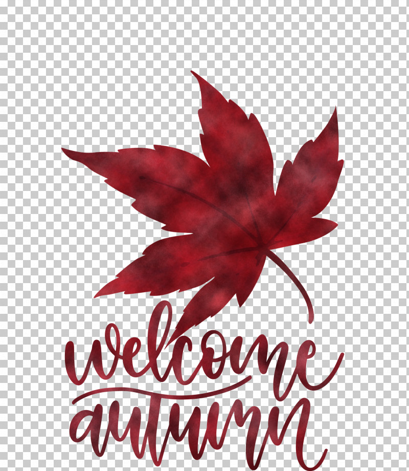 Welcome Autumn Autumn PNG, Clipart, Autumn, Biology, Flower, Leaf, Maple Free PNG Download