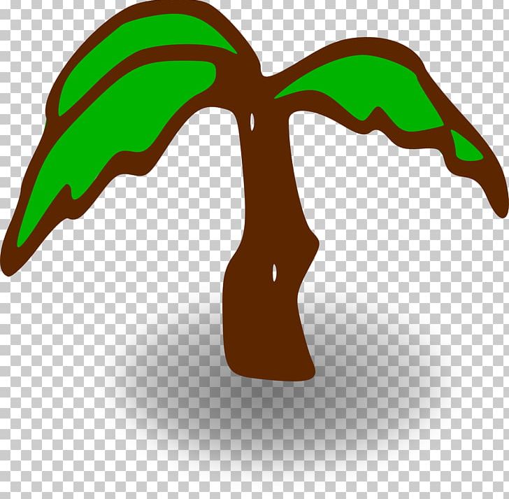 Arecaceae Computer Icons PNG, Clipart, Arecaceae, Beak, Coconut, Computer Icons, Date Palm Free PNG Download