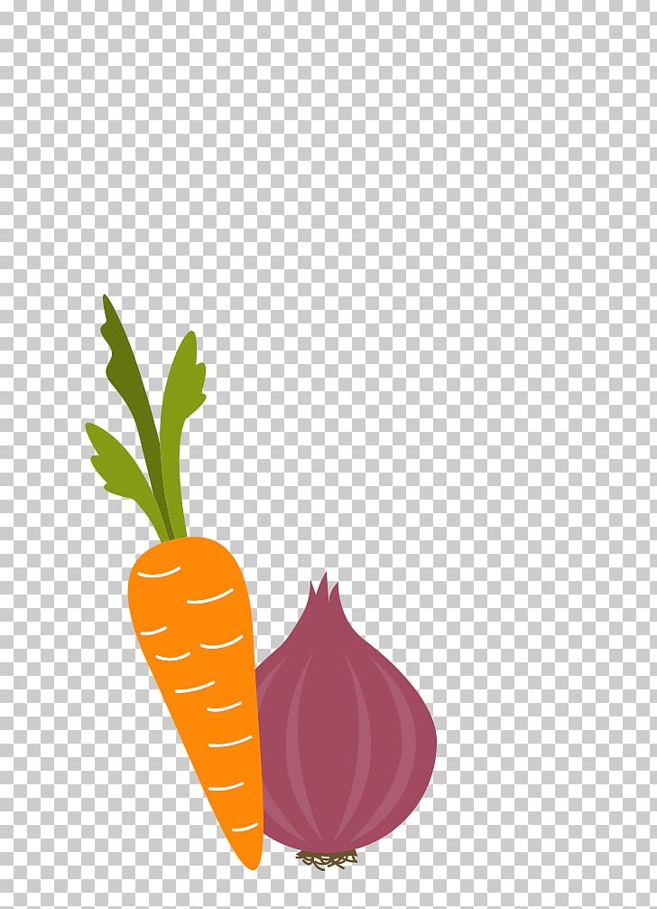 Carrot Vegetable Drawing Onion Cartoon PNG, Clipart, Animation, Balloon Cartoon, Boy Cartoon, Carrot, Cartoon Free PNG Download