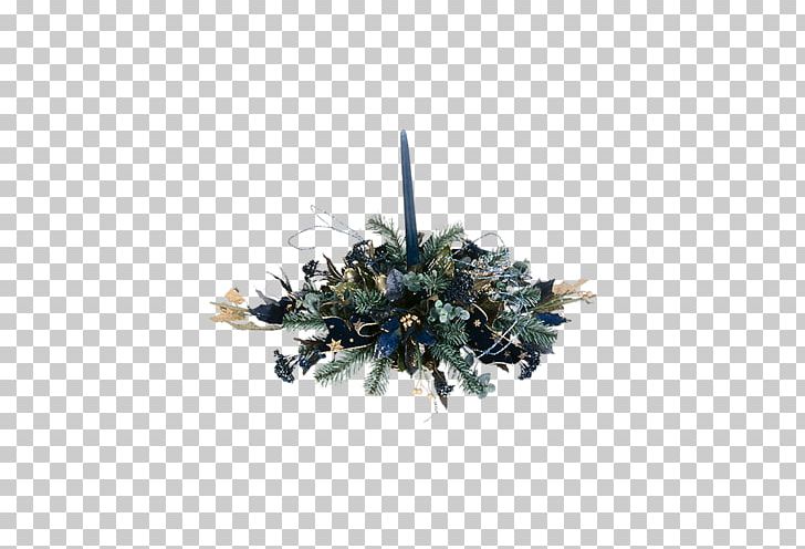 Christmas Ornament Pine Pinaceae PNG, Clipart, Blue, Blumen, Christmas, Christmas Ornament, Cicek Free PNG Download