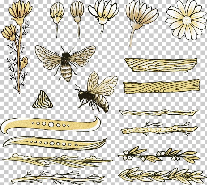 Honey Bee Drawing PNG, Clipart, Beehive, Bee Honey, Bee Vector, Brush Footed Butterfly, Cartoon Free PNG Download