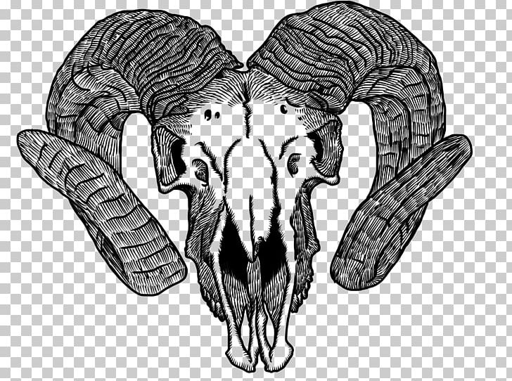 Goat Drawing Skull Horn Bone PNG, Clipart, Animal, Animals, Black And White, Bone, Cattle Like Mammal Free PNG Download