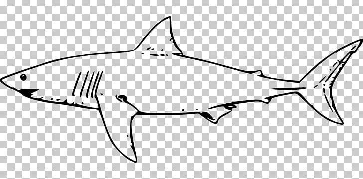 Great White Shark PNG, Clipart, Animals, Black, Black And White, Bull Shark, Cartilaginous Fish Free PNG Download