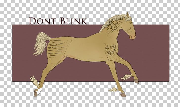 Mustang Foal Stallion Colt Pony PNG, Clipart,  Free PNG Download