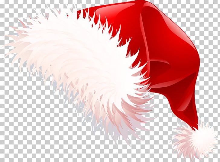 Santa Claus Christmas Santa Suit PNG, Clipart, Christmas, Christmas Elf, Closeup, Computer Icons, Desktop Wallpaper Free PNG Download