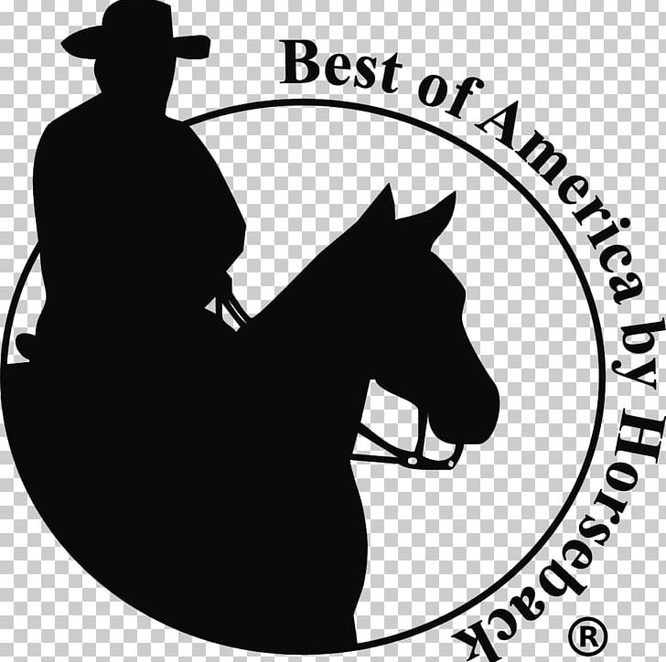 Arizona Tennessee Secretary Of State PNG, Clipart, Business, Cowboy, Horse, Horse Supplies, Horse Tack Free PNG Download
