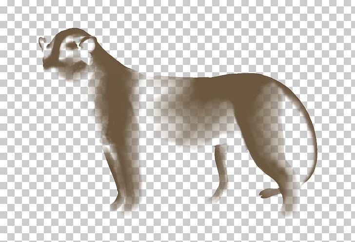 Cat Whippet Italian Greyhound Cougar Lion PNG, Clipart, 08626, Animals, Big Cat, Big Cats, Black Lion Free PNG Download