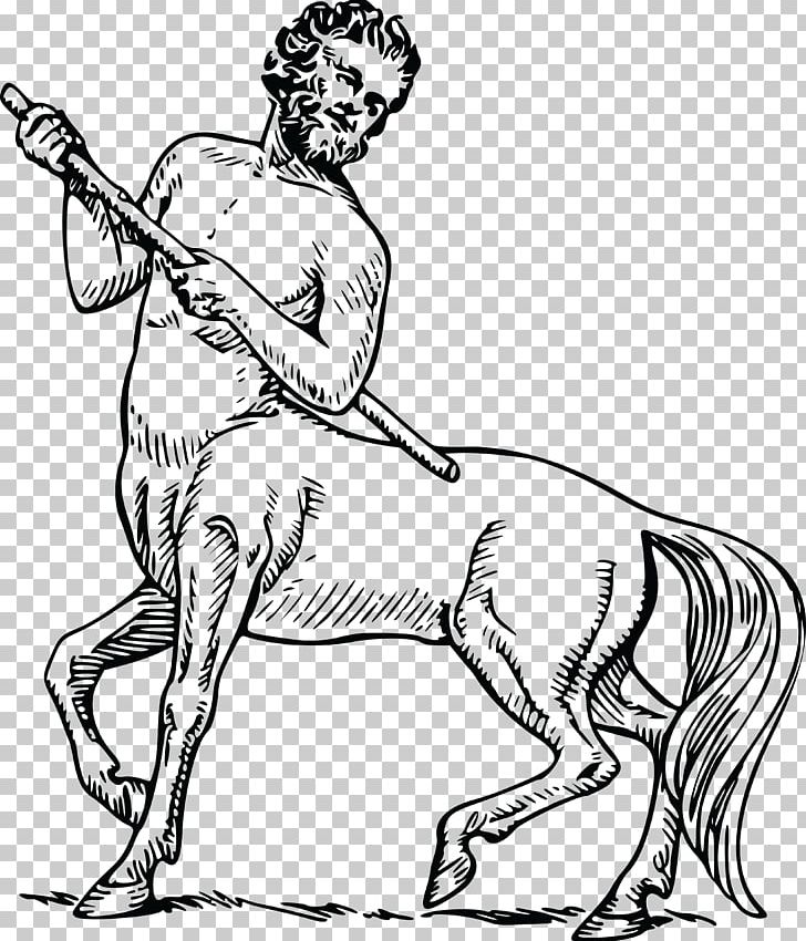 Centaur Legendary Creature Greek Mythology Firenze T-shirt PNG, Clipart, Arm, Big Cats, Carnivoran, Cat Like Mammal, Dog Like Mammal Free PNG Download