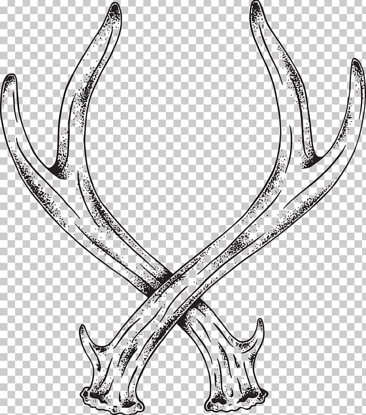 Deer Antler Horn Line Art Elk PNG, Clipart, Animals, Antelope, Antler, Black And White, Body Jewellery Free PNG Download