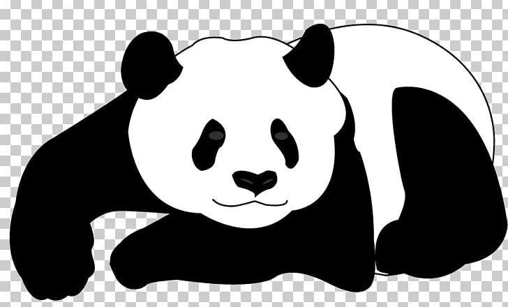Giant Panda Bear Drawing PNG, Clipart, Animals, Black, Carnivoran, Cdr, Cute Panda Free PNG Download