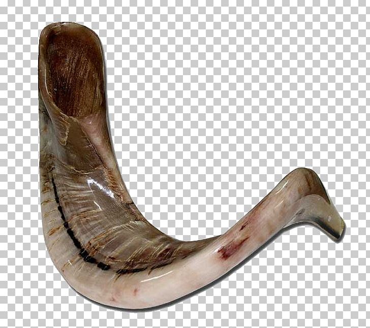 Shofar Sheep Musical Instruments Jericho PNG, Clipart, Animals, Horn, Jaw, Jericho, Judaism Free PNG Download
