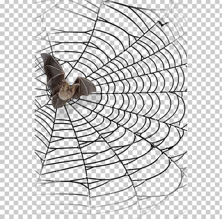 Spider Web Spider-Man Bat Halloween PNG, Clipart, Animals, Arachnid, Area, Background, Baseball Bat Free PNG Download