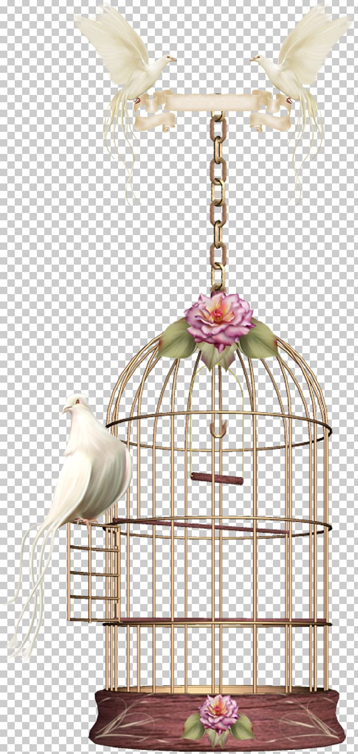 Birdcage Parrot PNG, Clipart, Adornment, Bird, Birdcage, Bird Nest, Cage Free PNG Download