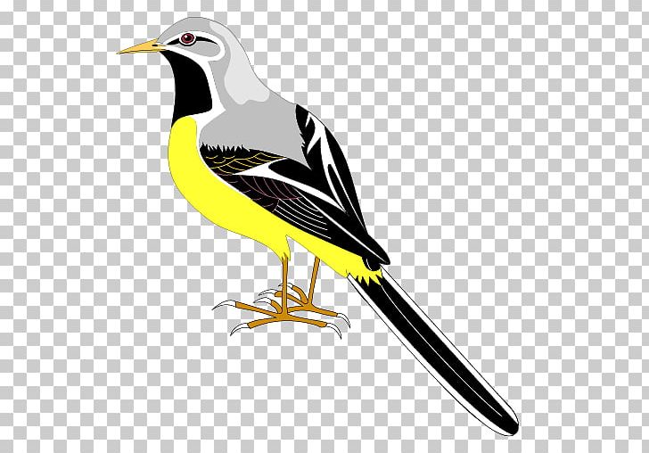 Draw Birds PNG, Clipart, Animals, Beak, Bird, Desktop Wallpaper, Download Free PNG Download