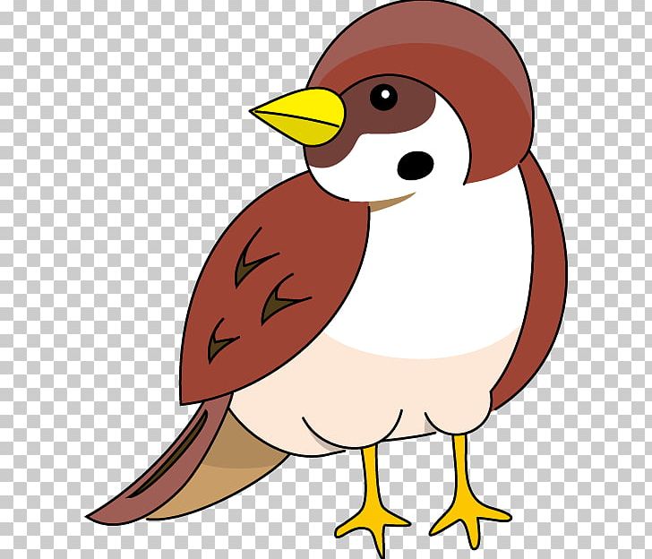 House Sparrow Bird PNG, Clipart, Art, Artwork, Beak, Bird, Clip Art Free PNG Download