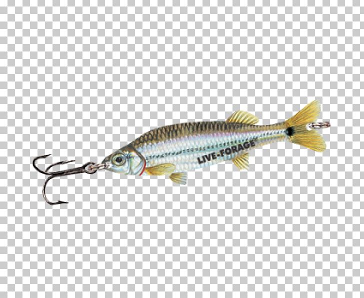 Spoon Lure Perch Fish PNG, Clipart, Bait, Fish, Fishing Bait, Fishing Lure, Flutter Free PNG Download