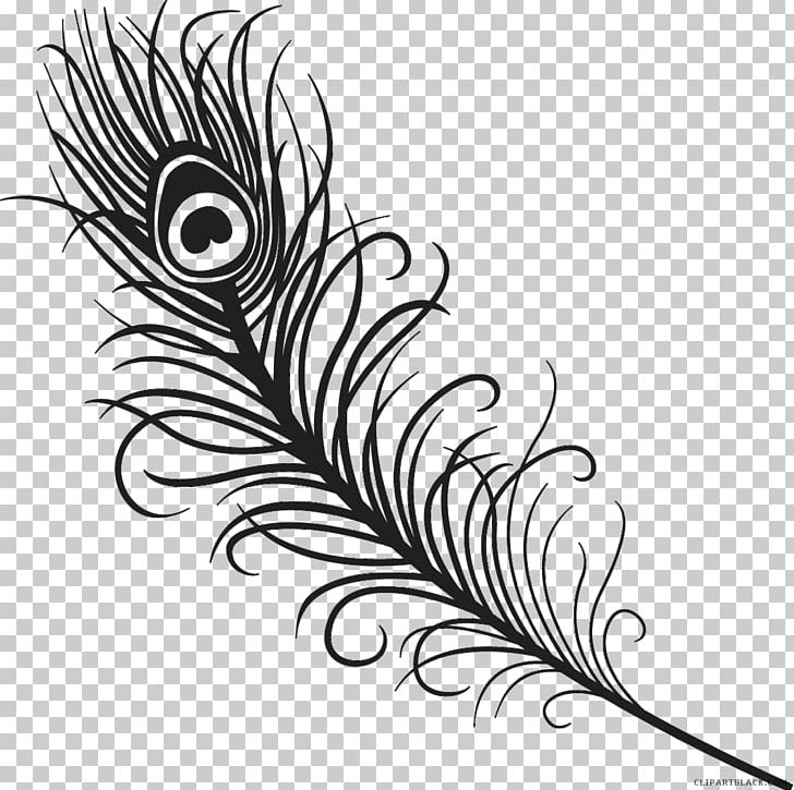 Feather Drawing Peafowl PNG, Clipart, Animals, Bird, Black, Black And White, Color Free PNG Download