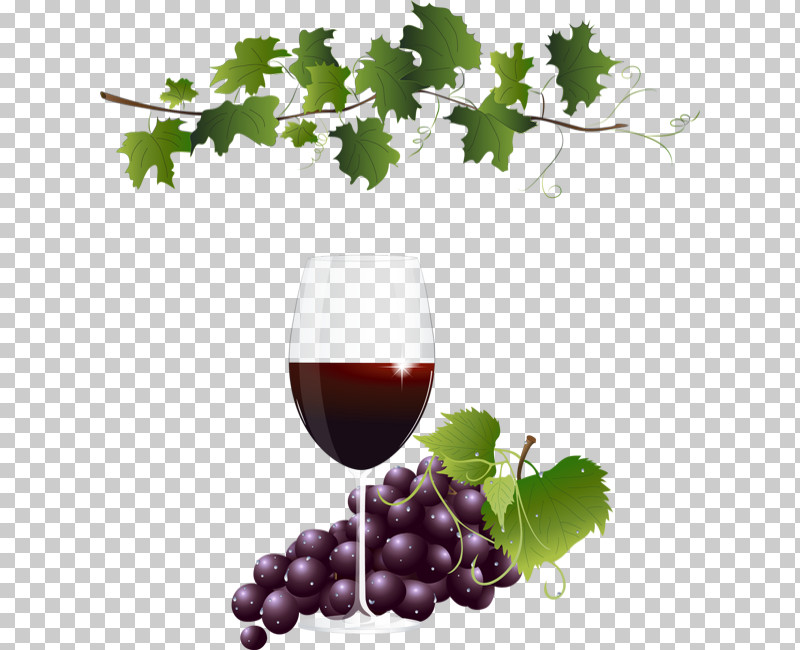 Wine Glass PNG, Clipart, Drink, Food, Glass, Grape, Grape Leaves Free PNG Download