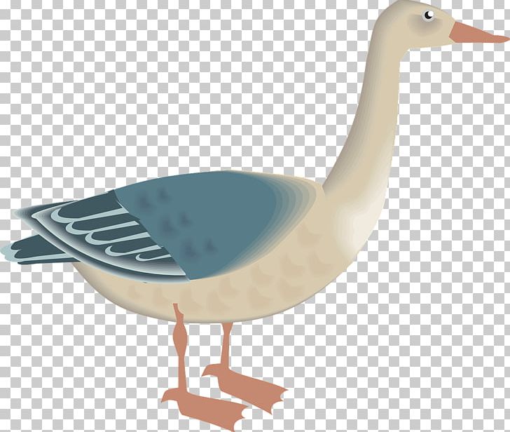 Goose Ganso Scalable Graphics PNG, Clipart, Animals, Beak, Bird, Cartoon Goose, Download Free PNG Download
