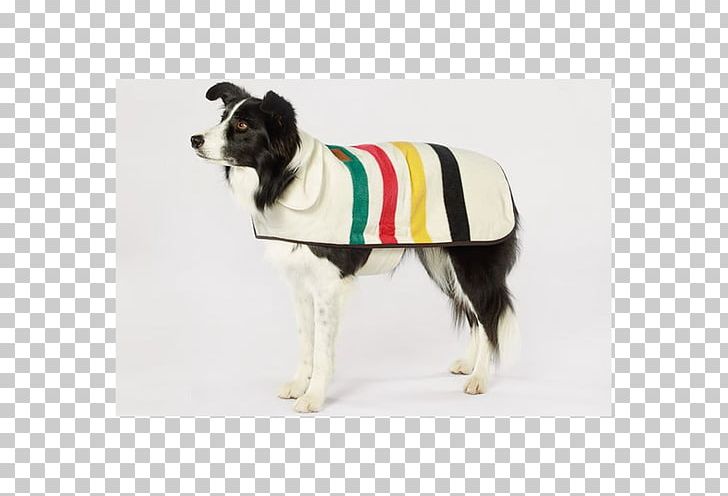 Dog Breed Glacier National Park Coat Clothing PNG, Clipart,  Free PNG Download