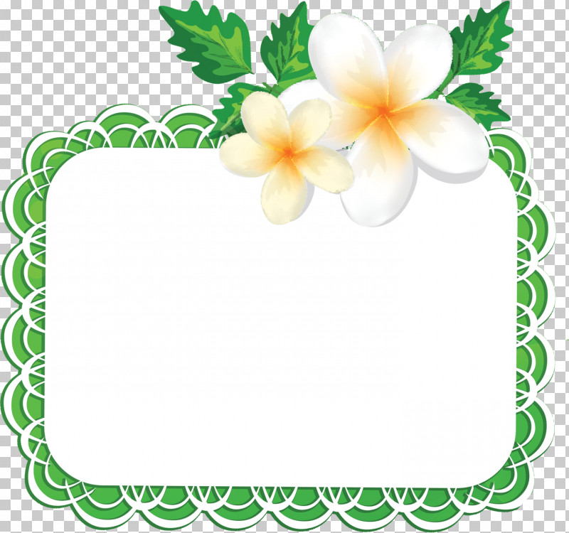Flos Plumeriae Flower Frame Floral Frame PNG, Clipart, Floral Frame, Flos Plumeriae Flower Frame, Picture Frame, Plant, Rectangle Free PNG Download