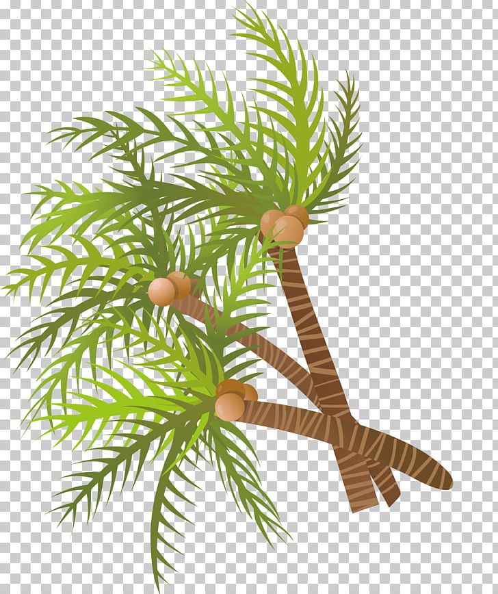 Arecaceae Coconut Tree Euclidean PNG, Clipart, Arecaceae, Art, Branch, Cartoon, Christmas Tree Free PNG Download