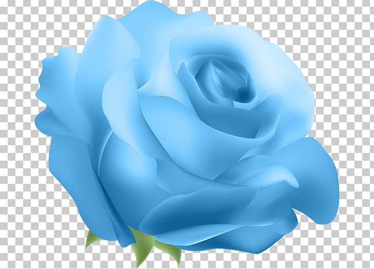 Blue Rose Flower PNG, Clipart, Blue, Blue Rose, Clip Art, Closeup, Computer Wallpaper Free PNG Download