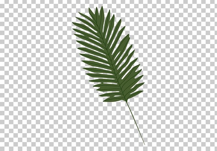 Leaf Arecaceae Computer Icons PNG, Clipart, Arecaceae, Arecales, Clip Art, Computer Icons, Drawing Free PNG Download