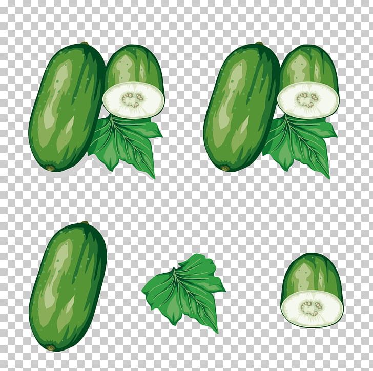 Wax Gourd Zucchini PNG, Clipart, Cucumber, Food, Fruit, Fruits And Vegetables, Happy Birthday Vector Images Free PNG Download