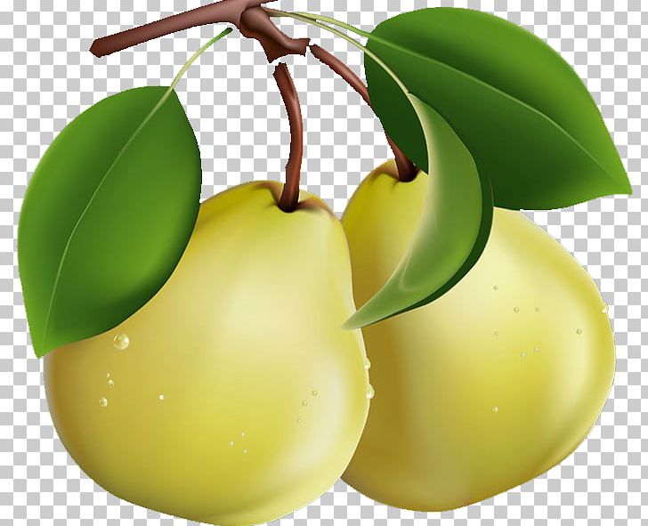 Pear PNG, Clipart, Apple, Apple Pears, Beautiful, Decoration, Download Free PNG Download