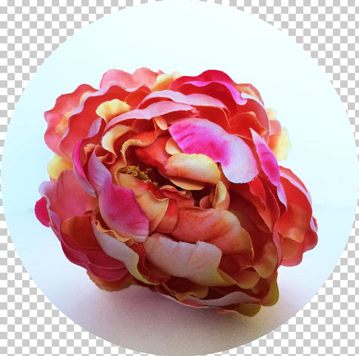Garden Roses Cut Flowers Peony Petal PNG, Clipart, Com, Cut Flowers, Email, Facebook, Facebook Inc Free PNG Download