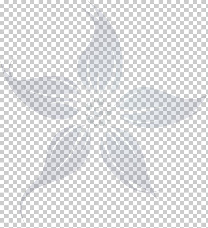 Petal Line White Symmetry Leaf PNG, Clipart, Art, Black And White, Drawing, File Design, Flora Free PNG Download