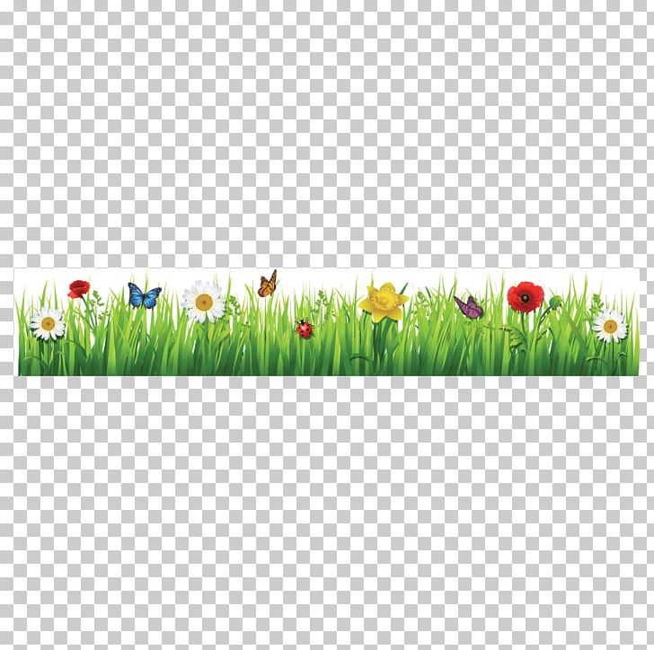 Tulip Flower Meadow PNG, Clipart, Cartoon, Clip Art, Decorativ, Field, Flower Free PNG Download