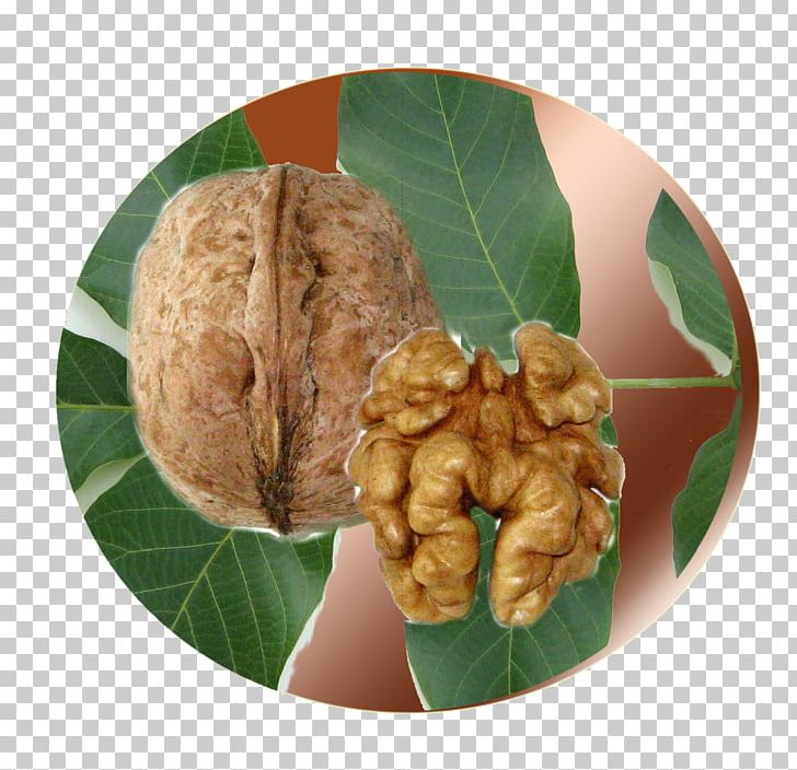 Walnut PNG, Clipart, Food, Fruit Nut, Ingredient, Nut, Nuts Seeds Free PNG Download