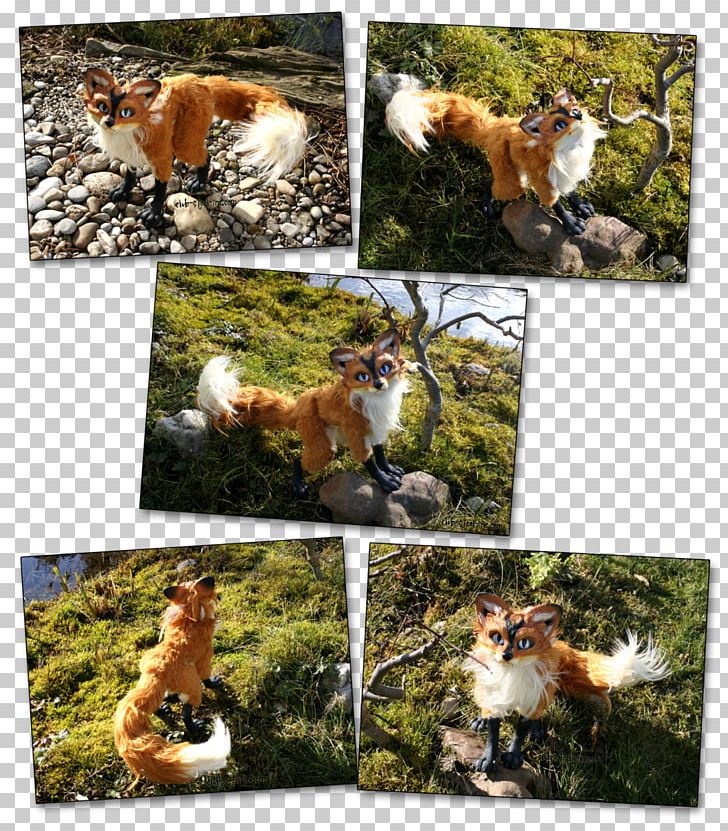 Wildlife Fauna Flora Red Fox Collage PNG, Clipart, Collage, Fauna, Flora, Grass, Love Free PNG Download