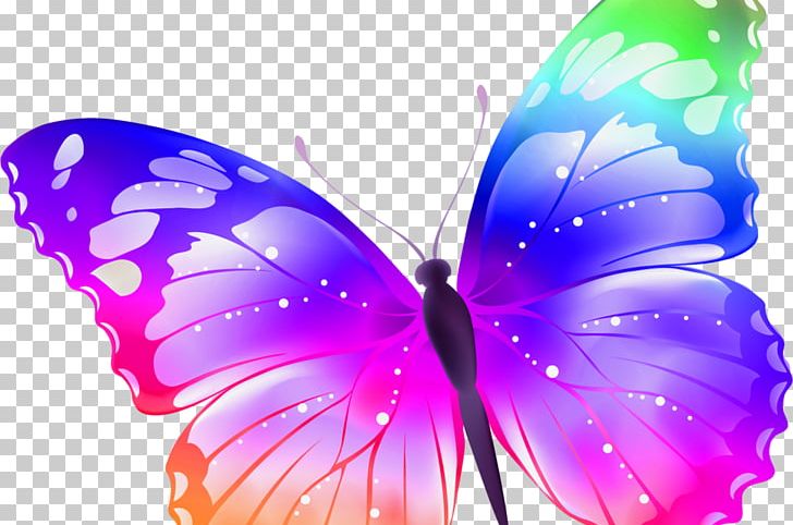 Butterfly Sticker Insect PNG, Clipart, Brush Footed Butterfly, Computer Wallpaper, Creativity, Insect, Insects Free PNG Download