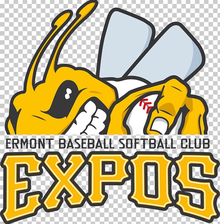 Expos Ermont Baseball Softball Club Expos Ermont Baseball/Softball Club Templiers De Sénart France National Baseball Team PNG, Clipart, Allstar Game, Area, Baseball, Brand, Cergy Free PNG Download