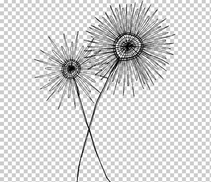 Dandelion Black-and-white Flower Dandelion Plant PNG, Clipart, Blackandwhite, Dandelion, Flower, Line, Plant Free PNG Download