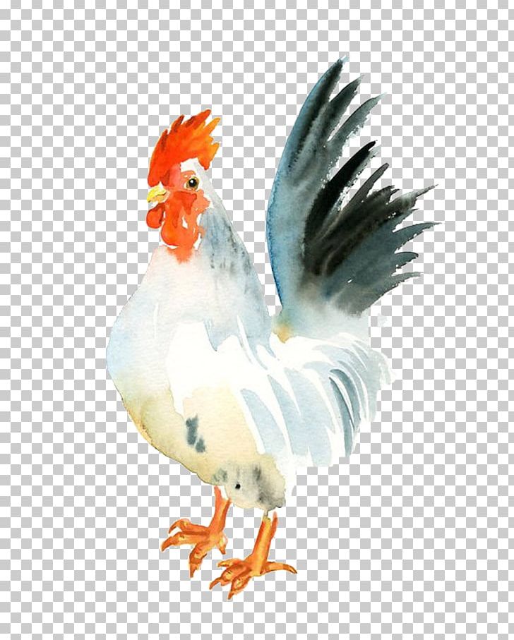 Chicken Watercolor Painting Rooster Paper PNG, Clipart, Air, Animal, Animals, Art, Background White Free PNG Download