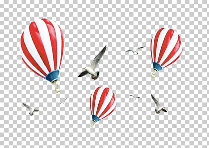 Flight Hot Air Balloon PNG, Clipart, Air Balloon, Air Vector, Asuka, Ballonnet, Balloon Free PNG Download