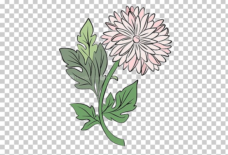 Floral Design Drawing Watercolor Painting PNG, Clipart, Art, Chrysanthemum, Chrysanthemum Grandiflorum, Chrysanths, Cut Flowers Free PNG Download