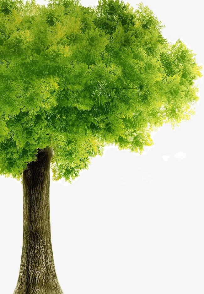 Green Trees PNG, Clipart, Green, Green Clipart, Number, Number Of Wood, Trees Free PNG Download