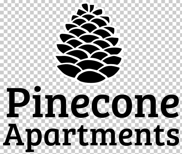 Conifer Cone Logo Tree Pine PNG, Clipart, Apartment, Black, Black And White, Black Pine Cone, Brand Free PNG Download