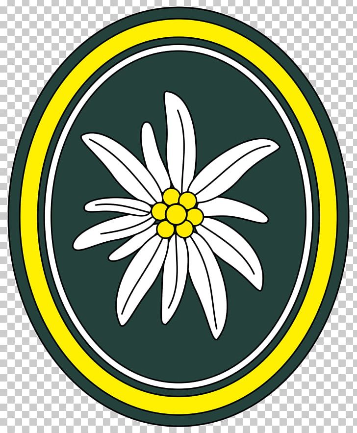 Gebirgsjäger Germany Army Leontopodium Nivale Edelweiss PNG, Clipart, 1 St, Area, Army, Artwork, Bundeswehr Free PNG Download