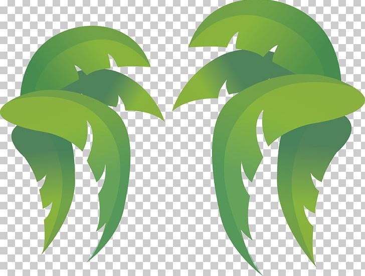 Leaf Coconut PNG, Clipart, Autumn Leaves, Banana Leaves, Coconut, Coconut Tree, Coconut Trees Free PNG Download