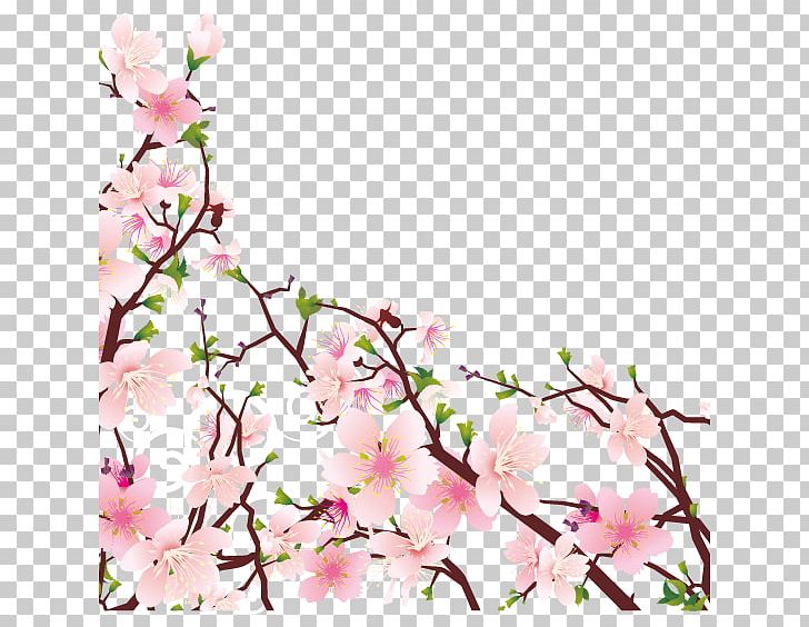 Peach PNG, Clipart, Branch, Cdr, Encapsulated Postscript, Flower, Flower Arranging Free PNG Download