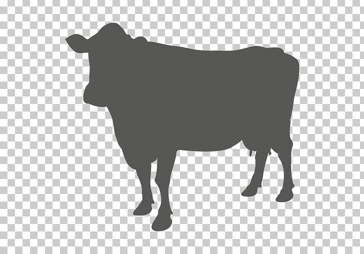 Senepol Jersey Cattle Dairy Cattle PNG, Clipart, Animals, Black And White, Bull, Cattle, Cattle Like Mammal Free PNG Download