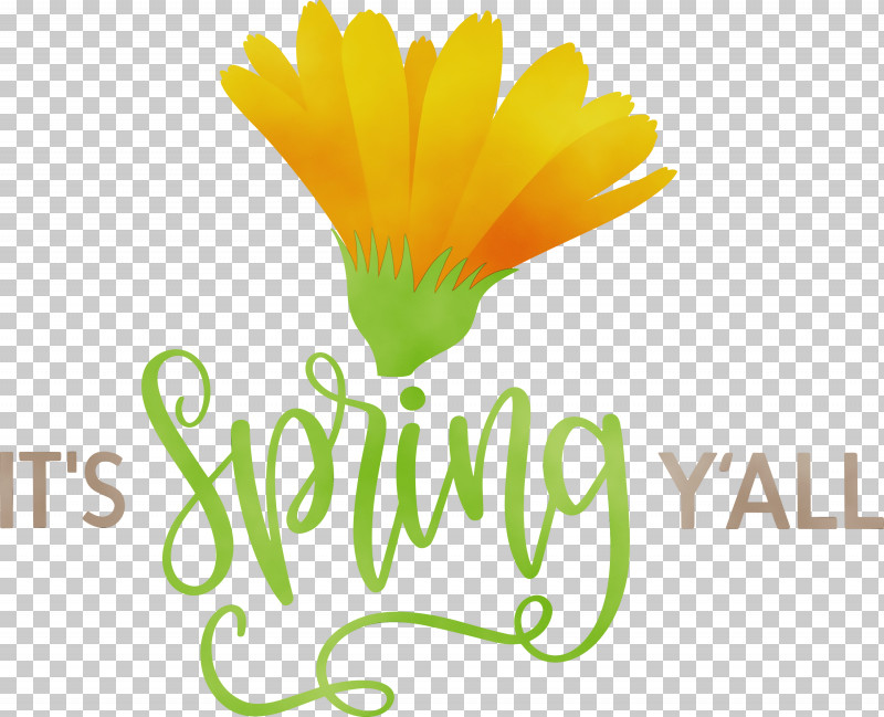 Daisy Family Flower Logo Petal Yellow PNG, Clipart, Common Daisy, Daisy Family, Flower, Happiness, Line Free PNG Download